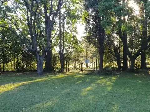 Terreno en Venta 12  mts Frente