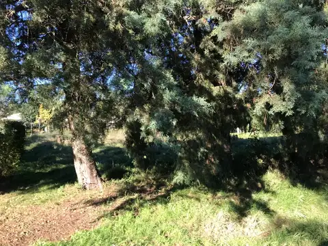 Terreno en Venta 20  mts Fondo