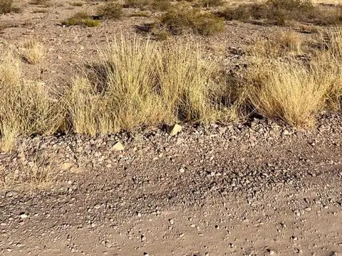 Terreno en Venta de 2500,0 m2
