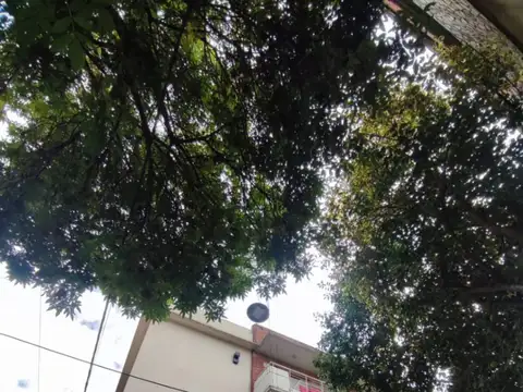 San Lorenzo 3700