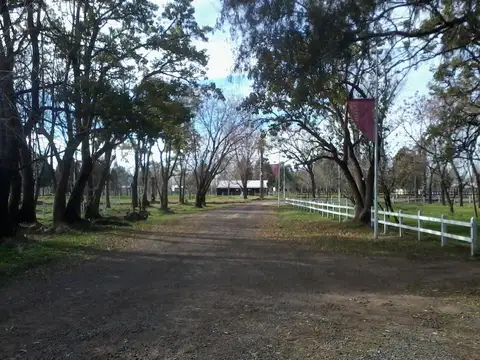 Terreno en Venta de 320,0 m2