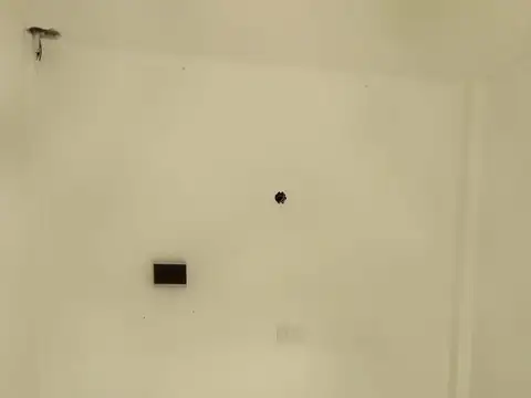 Local en Venta -1 año