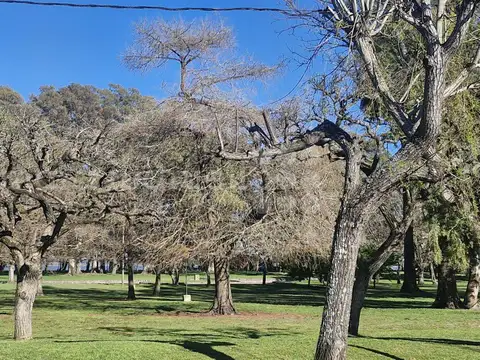 VTA CASA FRENTE AL PARQUE CHASCOMUS