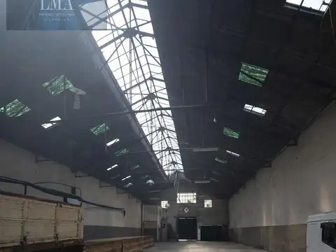 Olivera  al 100