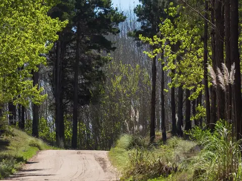 Terreno en Venta en Villarobles, USD 176.000