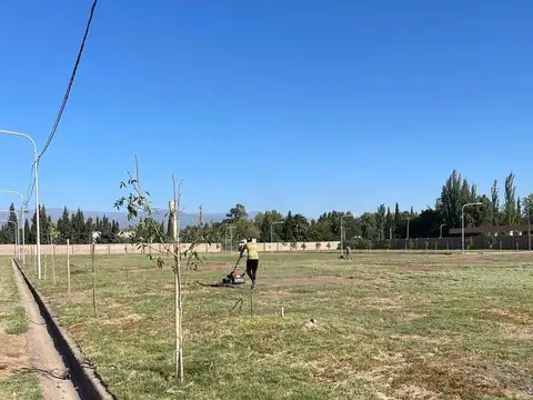 Terreno en Venta en Villa Nueva de Guaymallen, USD 12.000
