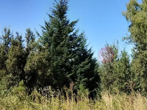 Terreno en Venta de 2922,0 m2