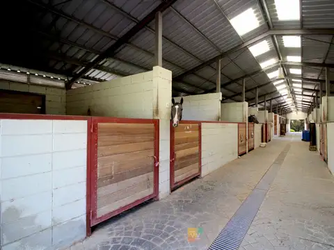 Camino Sanguinetti 5500