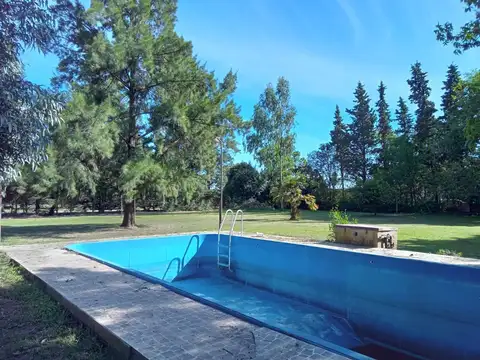 LOTE 40x45