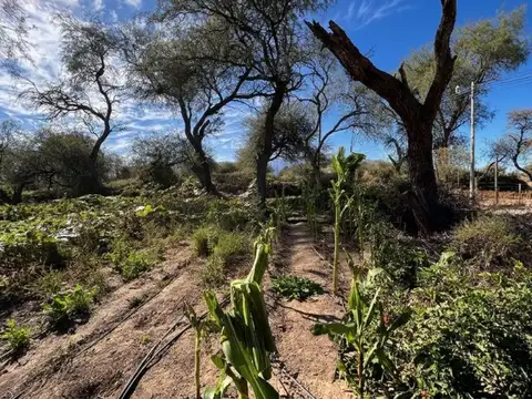 Cafayate. Pueblo Nuevo. Mza 14. Lote 3