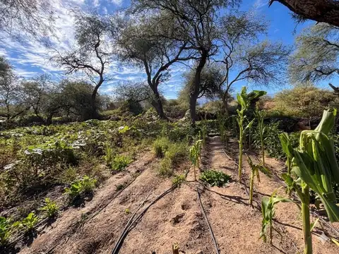 TERRENO EN VENTA PUEBLO NUEVO CAFAYATE 300M2