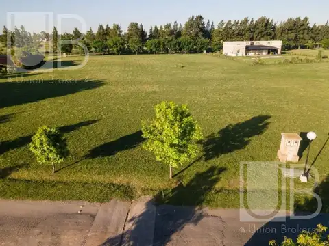 mariano castex  al 9200