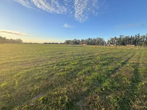 Bernardino Rivadavia