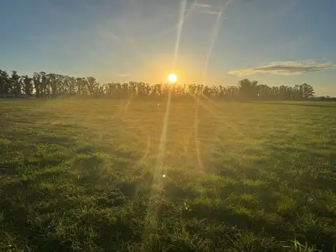 Terreno en Venta en Villa Ruiz, USD 30.000