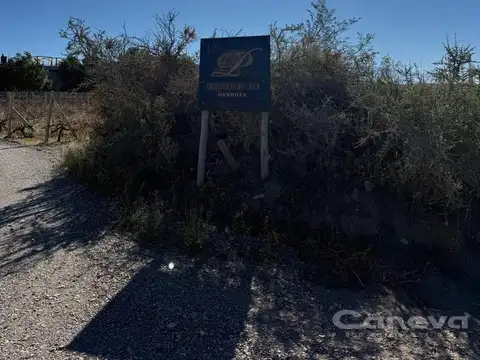 Tupungato Mendoza
