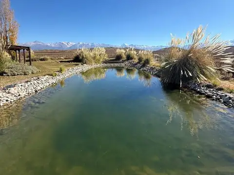 Tupungato Mendoza