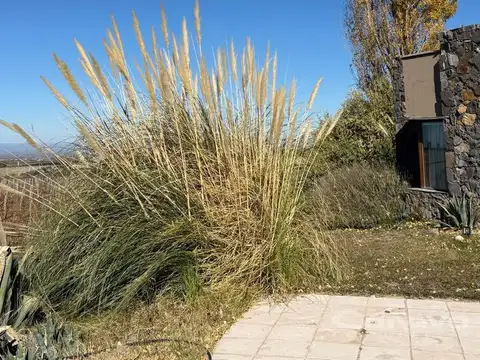 Quinta en Venta en Tupungato, USD 900.000