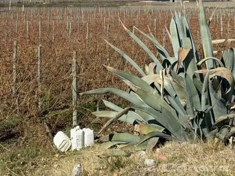 Quinta en Tupungato