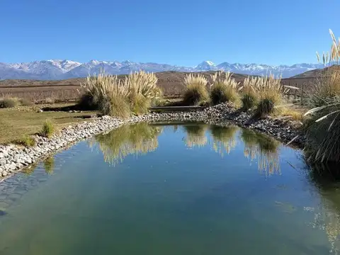 Quinta en Tupungato