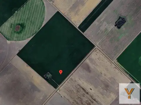Campo en Venta en Rojas, Partido de Rojas