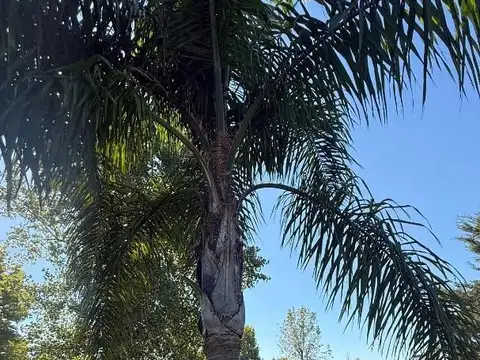 Casa en Venta en Terravista, USD 1.400.000