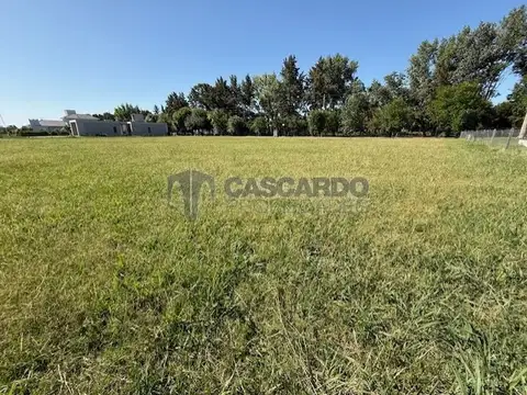 Terreno en Venta 50  mts Fondo