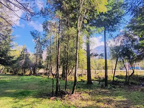 Terreno en Venta de 3000,0 m2