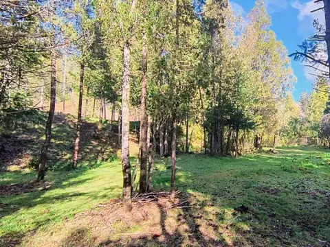 (KT005) Lotes en Lago Puelo -Loteo Terrazas del Blanco- Sobre ruta 16
