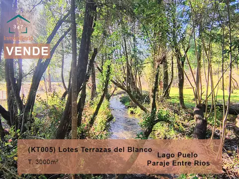 (KT005) Lotes en Lago Puelo -Loteo Terrazas del Blanco- Sobre ruta 16