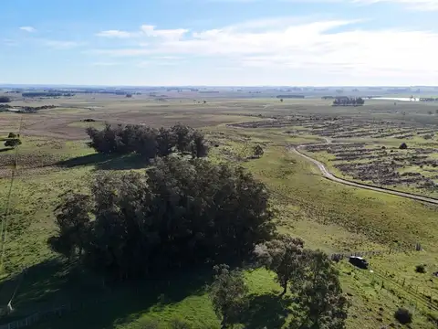 Campo en venta de 24 ha en ruta 10 las Garzas Rocha Uruguay