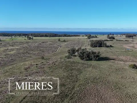 Campo en venta de 24 ha en ruta 10 las Garzas Rocha Uruguay