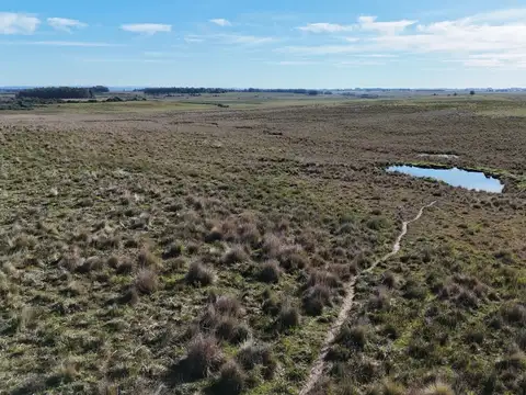 Campo en venta de 24 ha en ruta 10 las Garzas Rocha Uruguay