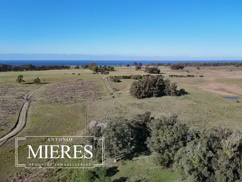Campo en venta de 24 ha en ruta 10 las Garzas Rocha Uruguay