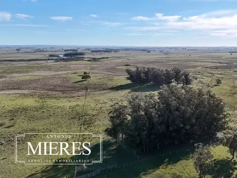 Campo en venta de 24 ha en ruta 10 las Garzas Rocha Uruguay