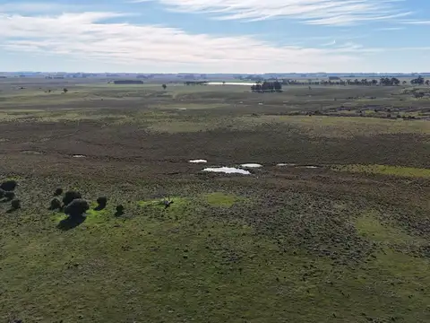 Campo en venta de 24 ha en ruta 10 las Garzas Rocha Uruguay