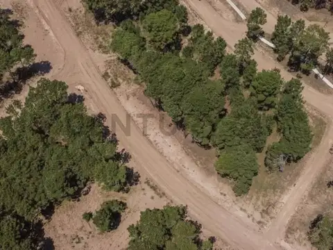 Terreno en Venta de 1001,88 m2