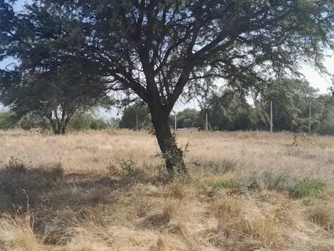 Terreno en Venta en Colonia Barón, USD 5.000