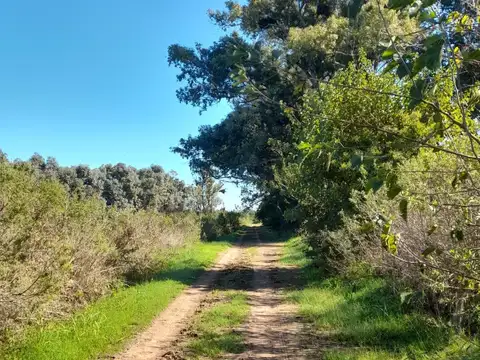Ruta Provincial 39,  (2500 mts 100