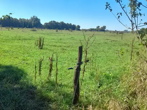 VENTA CAMPO 24 Ha. agropecuarias, APTO GRANJA, Emprendimiento o Cultivo