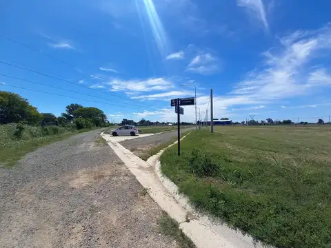 Los Sauces y Palo Borracho - Campo Madero