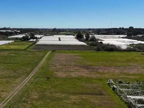 VENTA DE CAMPO DE 3,44 HAS. EN LOS HORNOS, LAPLATA