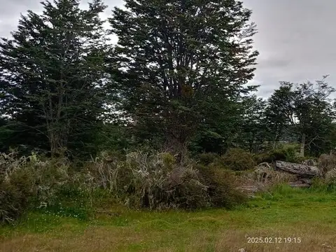 Terreno en Venta en Tolhuin, USD 80.000