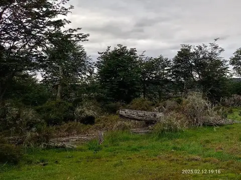 Terreno en Venta de 21615,0 m2