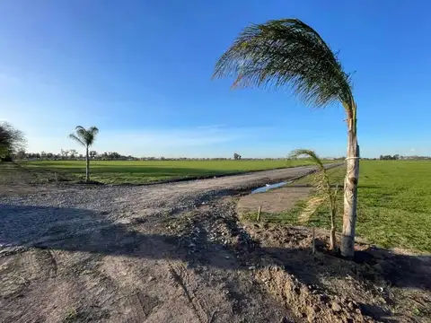 Terreno en Venta de 330,0 m2