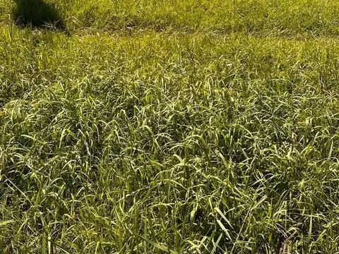 Terreno en Venta 10  mts Frente