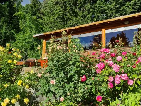 subida del piltriquitron , Piso 0