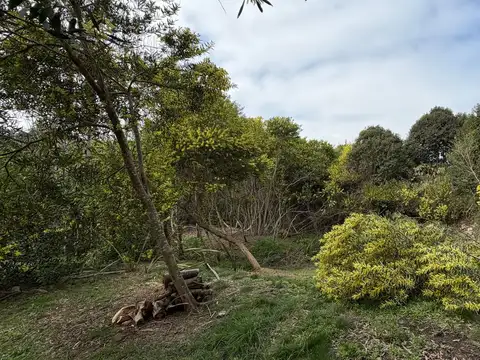 Lote en San Vicente 100