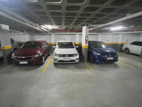 transito caceres de allende 430 , Piso 12