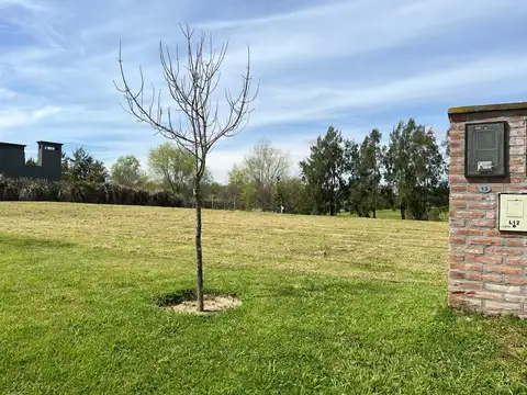 Terreno en El Naudir