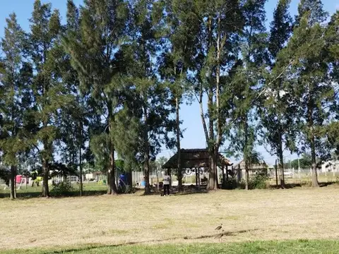 Terreno en Venta en Lisandro Olmos Etcheverry, USD 8.000